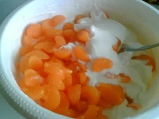 Rezept: Mandarine-Kokos-Tiramisu Bild Nr. 4 Mandarine-Kokos-Tiramisu - Rezept - Bild Nr. 4