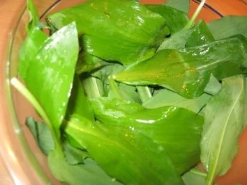 Rezept: Bärlauch der erste...mit Schweinefilet und Tomaten-Kartoffelgratin Bild Nr. 2 Bärlauch der erste...mit Schweinefilet und Tomaten-Kartoffelgratin - Rezept - Bild Nr. 2