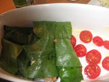 Rezept: Bärlauch der erste...mit Schweinefilet und Tomaten-Kartoffelgratin Bild Nr. 6 Bärlauch der erste...mit Schweinefilet und Tomaten-Kartoffelgratin - Rezept - Bild Nr. 6