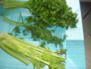 grünes Süppchen - Rezept - Bild Nr. 2