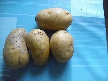 grünes Süppchen - Rezept - Bild Nr. 6