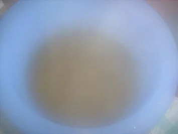 grünes Süppchen - Rezept - Bild Nr. 9