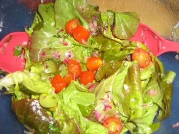 Rezept: Eichblattsalat mit Tomätchen und Basilikum-Vinegrette Eichblattsalat mit Tomätchen und Basilikum-Vinegrette - Rezept