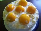 Aprikosen Torte - Rezept