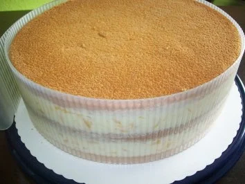 Rezept: Aprikosen Torte Bild Nr. 2 Aprikosen Torte - Rezept - Bild Nr. 2