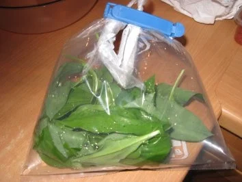 Rezept: Kartoffeltaschen ...im Kartoffelmantel Bild Nr. 2 Kartoffeltaschen ...im Kartoffelmantel - Rezept - Bild Nr. 2