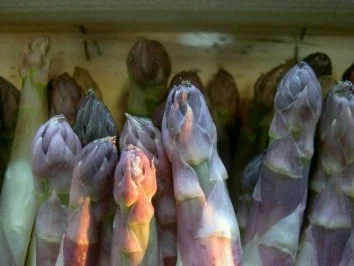 Rezept: Spargelröllchen mit Bärlauch und Schinken Bild Nr. 2 Spargelröllchen mit Bärlauch und Schinken - Rezept - Bild Nr. 2