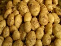 Rezept: Spargelröllchen mit Bärlauch und Schinken Bild Nr. 6 Spargelröllchen mit Bärlauch und Schinken - Rezept - Bild Nr. 6