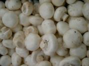 Gefüllte Riesen-Champis mit Bulgarischen Schafskäse (scharf) - Rezept