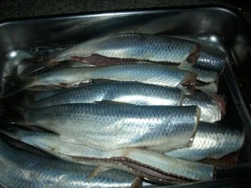 Bratheringe  eingelegt mit vielen Zwiebeln - Rezept - Bild Nr. 3