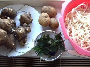 Rezept: Topinambur-Spargel-Suppe Bild Nr. 5 Topinambur-Spargel-Suppe - Rezept - Bild Nr. 5