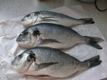 Rezept: Zitronenkartoffeln mit Doradenfilets Bild Nr. 3 Zitronenkartoffeln mit Doradenfilets - Rezept - Bild Nr. 3