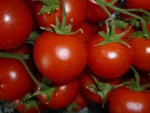 Frühlingsfrische Hühnersuppe mit Sauerampfer und Zitronenmelisse - Rezept - Bild Nr. 5