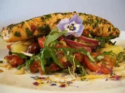Lachs in Würzblüten auf buntem Raukesalat - Rezept