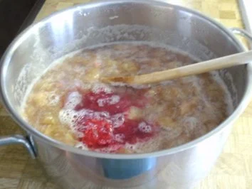 Rhabarber-Quark-Mousse mit frischen Erdbeeren - Rezept - Bild Nr. 4