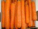 Honig-Sahne Möhrenstifte - Rezept