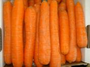 Honig-Sahne Möhrenstifte - Rezept
