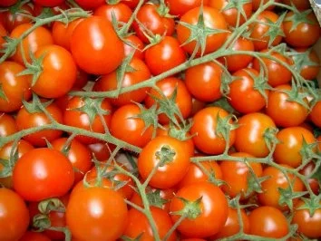 Rucola mit Schafskäse, Feigen und Oliven - Rezept - Bild Nr. 4