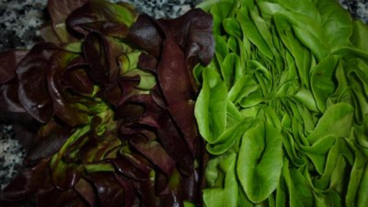 ☸ڿڰۣ—Blätterteig-Hackschnecken mit frischem Salat an Honig-Senf-Remoulade ☸ڿڰۣ— - Rezept - Bild Nr. 3