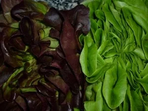 ☸ڿڰۣ—Blätterteig-Hackschnecken mit frischem Salat an Honig-Senf-Remoulade ☸ڿڰۣ— - Rezept - Bild Nr. 3