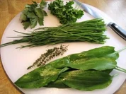 Quark mit Bärlauch ... - Rezept