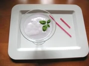 Cocktail "Violette dream" (alkoholfrei) - Rezept