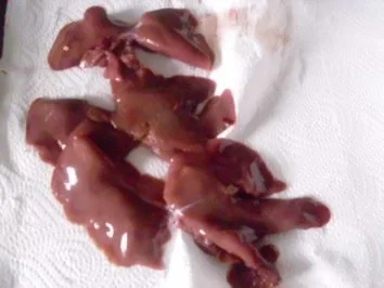 Kaninchenleber gebraten ~ Kartoffelmus - Rezept - Bild Nr. 4