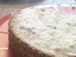 Rezept: Sverigekaka med Vaniljkräm (Schwedenkuchen mit Vanillecreme) Sverigekaka med Vaniljkräm (Schwedenkuchen mit Vanillecreme) - Rezept