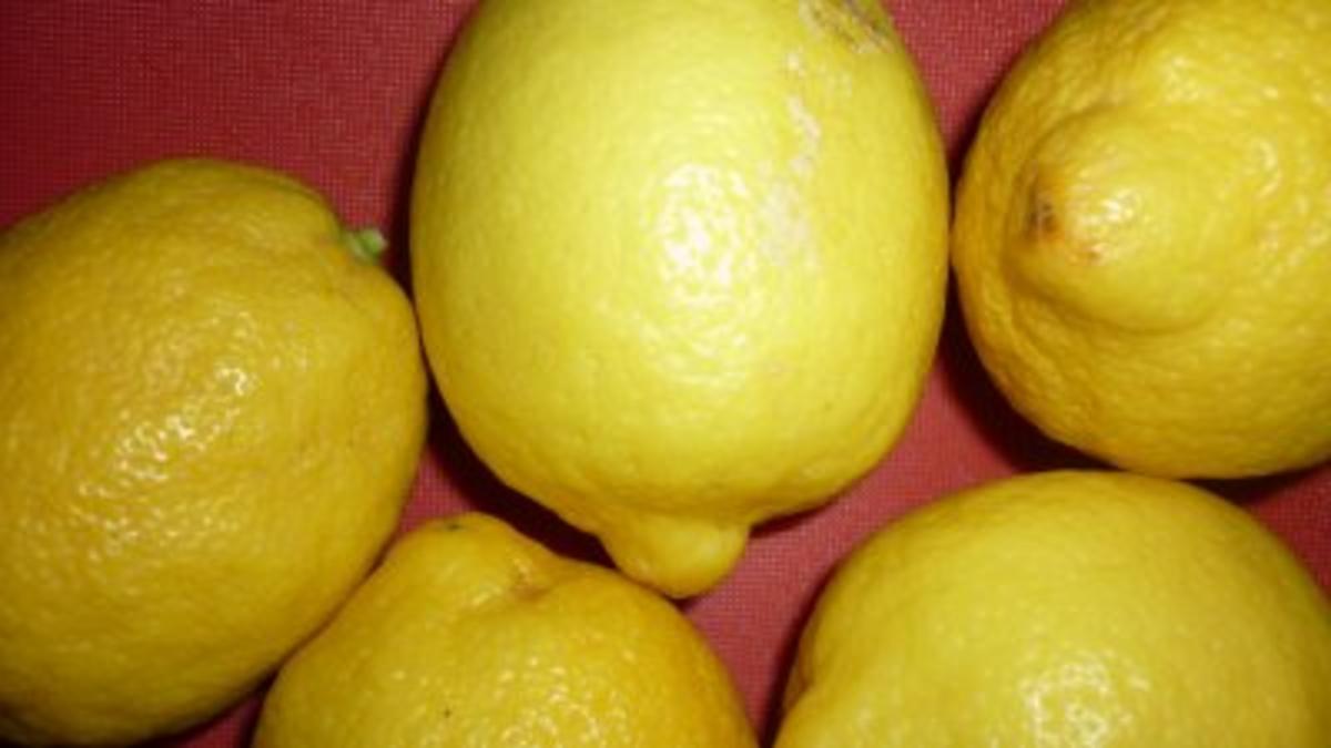 Eingelegte Zitronen - Rezept - Bild Nr. 5