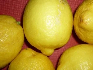 Eingelegte Zitronen - Rezept - Bild Nr. 5