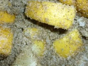 Eingelegte Zitronen - Rezept - Bild Nr. 2