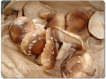 Salat - Rucolasalat mit Paprika und Walnüssen - Rezept - Bild Nr. 5