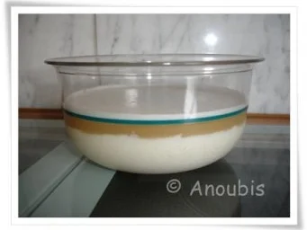 Dessert - Zitronen-Vanillepudding - Rezept - Bild Nr. 4