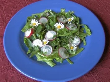 Salat mit Wildkräutern - Rezept