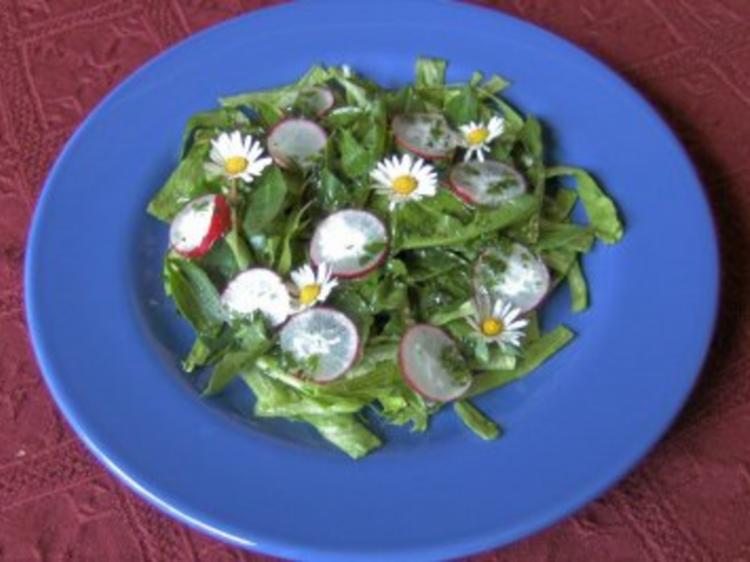 Salat mit Wildkräutern - Rezept mit Bild - kochbar.de