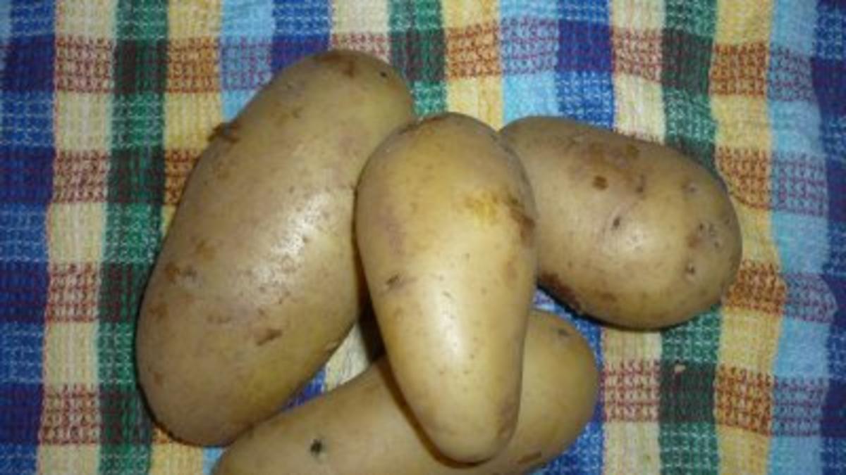 Kartoffel-Spargel-Gratin mit Thunfischsteak ,Kräutertomaten und Tête de Moine - Locken - Rezept - Bild Nr. 8