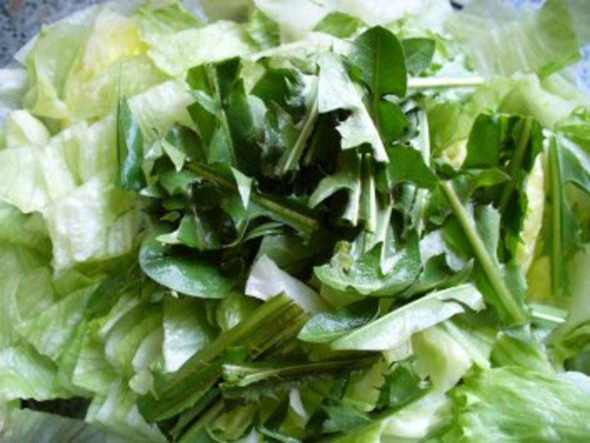 Salat frisch von der Wiese - Rezept - Bild Nr. 3