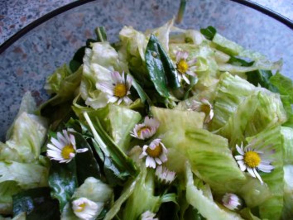 Salat frisch von der Wiese - Rezept - Bild Nr. 5