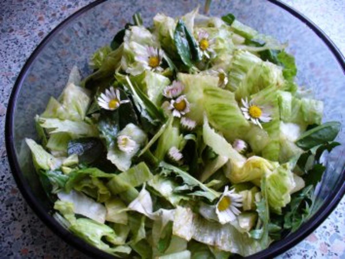 Salat frisch von der Wiese - Rezept - Bild Nr. 6