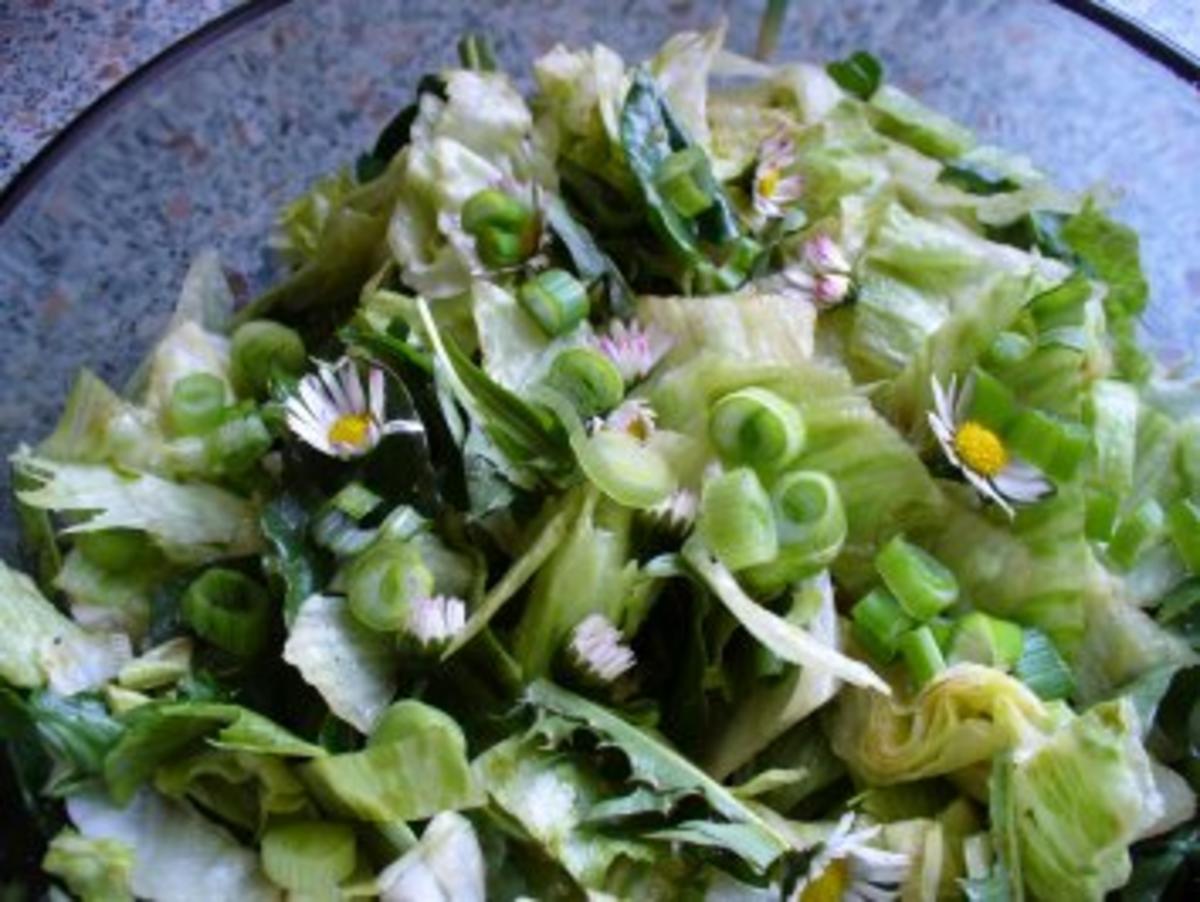 Salat frisch von der Wiese - Rezept
