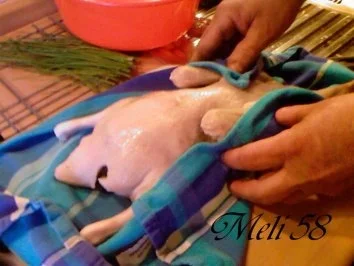 Geflügel/ Wild: Peking-Ente mit Mandarin-Pfannkuchen und  Dip - Rezept - Bild Nr. 3