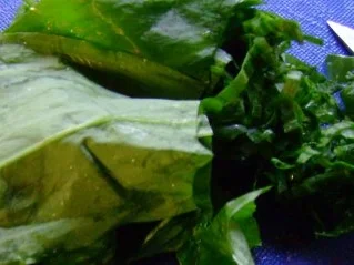 Pasta: Maultaschen an Bärlauchcreme - Rezept - Bild Nr. 4