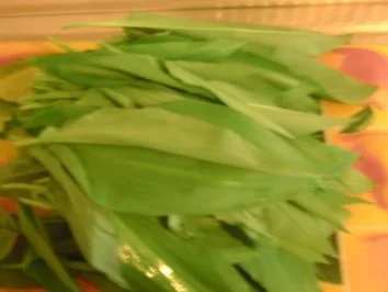 Bärlauch-Frischkäse - Rezept - Bild Nr. 3