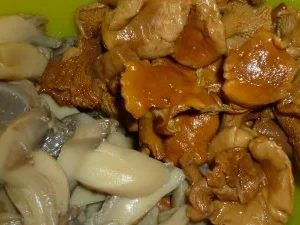 Rezept: Putenbraten mit Dattel - Physalissauce zu Pilzen an Reis Bild Nr. 3 Putenbraten mit Dattel - Physalissauce zu Pilzen an Reis - Rezept - Bild Nr. 3