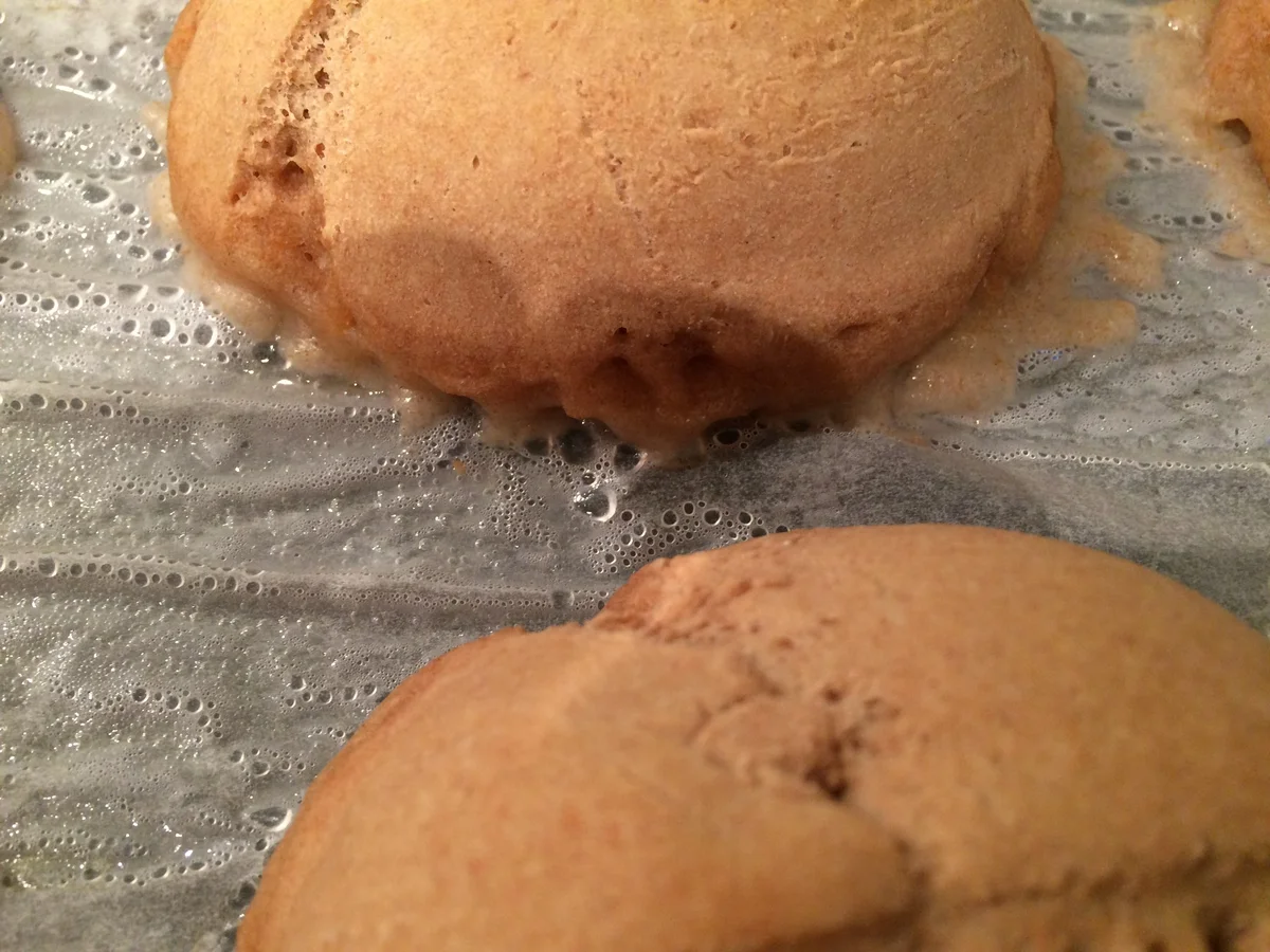 Dinkel-Buttermilchbrötchen - Rezept - Bild Nr. 7