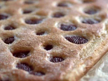 JOGURT Erdbeeren KUCHEN - Rezept - Bild Nr. 2