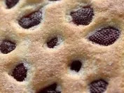 JOGURT Erdbeeren KUCHEN - Rezept - Bild Nr. 7