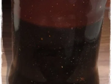 Balsamico-Dressig - Rezept - Bild Nr. 4