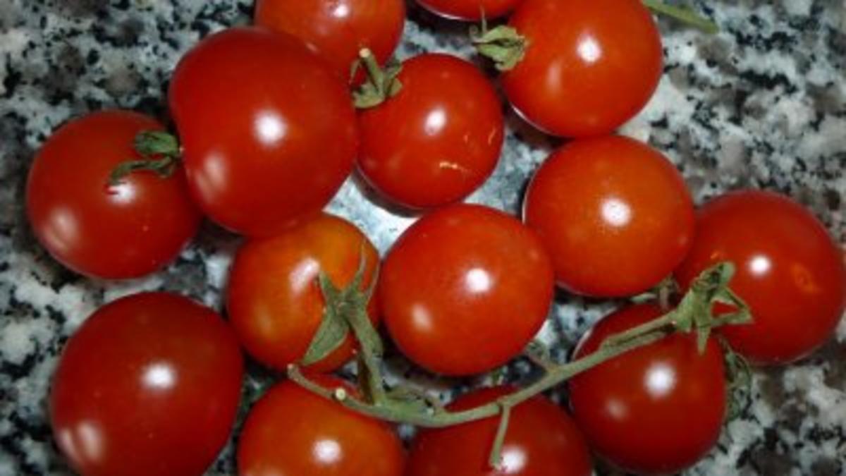 Trecce del`Orto an scharfer Meeresfrüchte-Tomatensauce und überbackener Jakobsmuschel - Rezept - Bild Nr. 5
