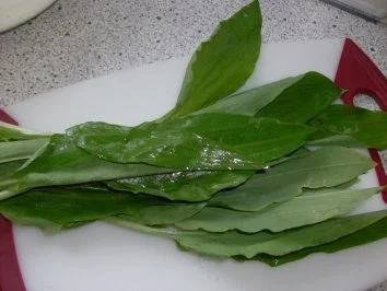 Bunter Salat mit geräucherter Forelle und Joghurt-Bärlauch-Dressing - Rezept - Bild Nr. 2